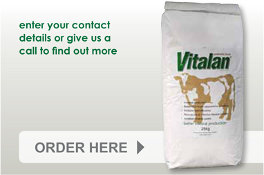 Order Here